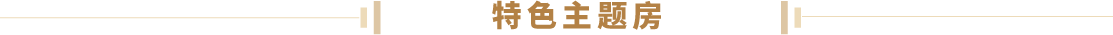 特色主题房